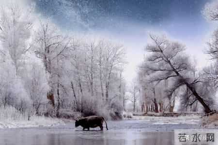 金牛座1月29日周四：别安排事！有大事砸头上