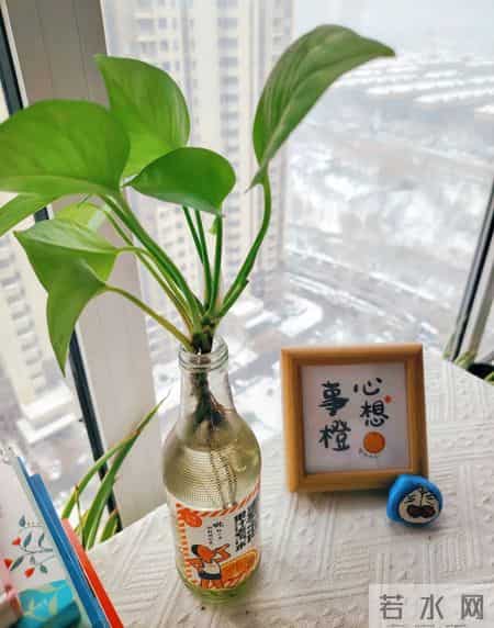 我发现人一定要瘦,瘦,瘦!