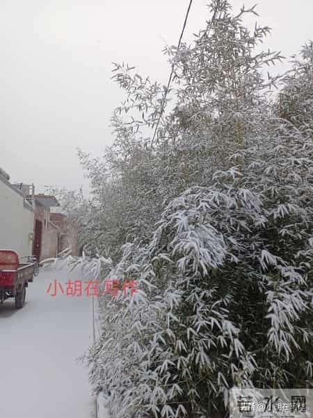 今天我光扫了扫自家门前的雪！我不愿意再去当一个盲目的好人！
