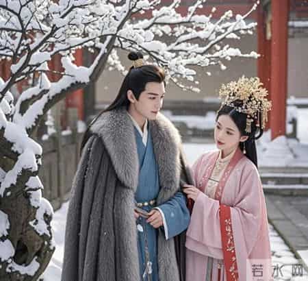 下聘那天,国公爷的白月光跑来显摆:我怀了长子!我没说话