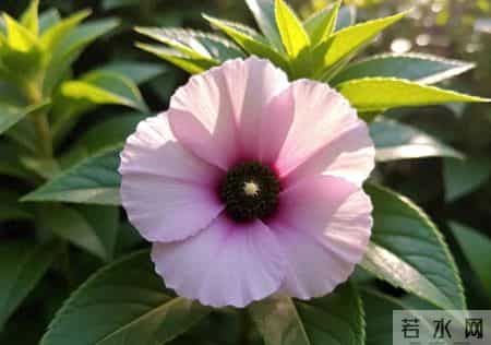 长期缺钱的女人，一眼就能看出来，因为都有这3个穷习惯！