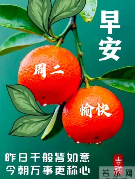 2026年1月27日早上好 早安温馨祝福语 早安周二愉快 早安精美美图