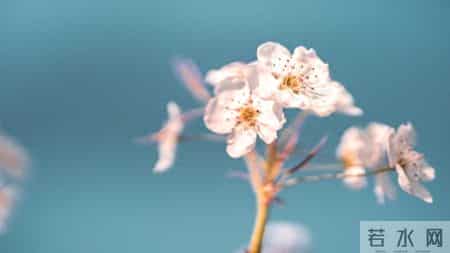 有这些信号，说明你魅力层次远远高于常人！