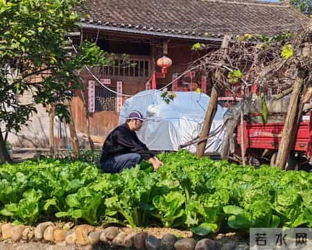交易这件事,最难的不是找到交易门道和判断行情,而是改掉坏习惯