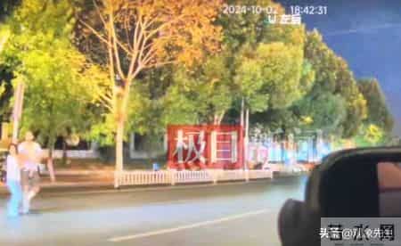 一次驳回，揭露景德镇一家三口惨死轮下的真相，原来专家没说谎！