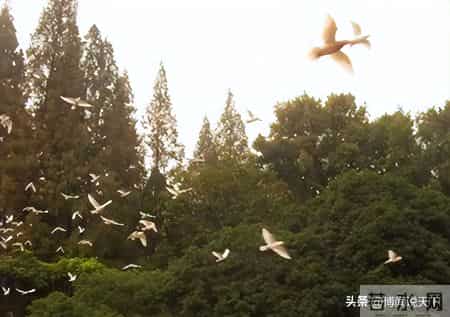 他28岁跳楼身亡,离开前顶楼徘徊3小时,留17字感人遗言告别人间