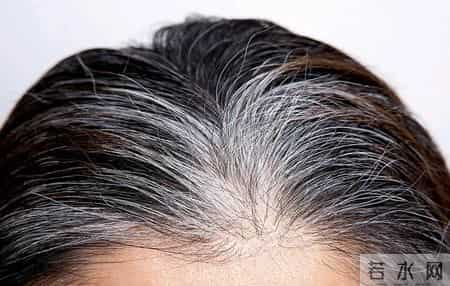 不用买染发剂，1款无科技与狠活的洗发水，自己在家也能做