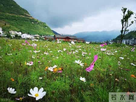 深圳人的五大怪习惯！外地人难接受，直呼 “太离谱”！