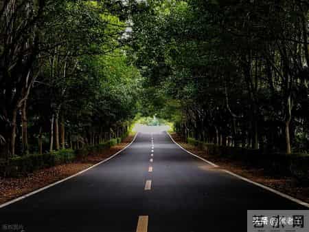 关东风雪情——走出婚姻的围城（179）