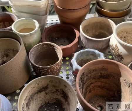 建议大家:过年大扫除时,这6样记得丢掉,不是迷信,涨知识了!