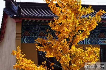 我发现男人到了60岁，如果还能占以下十条，绝对是人生赢家