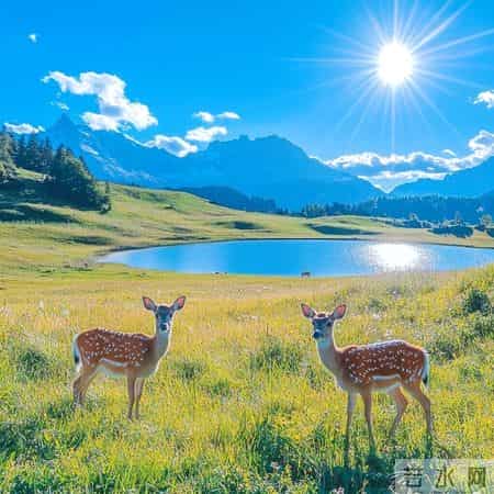 男人女人带财又顺利的头像