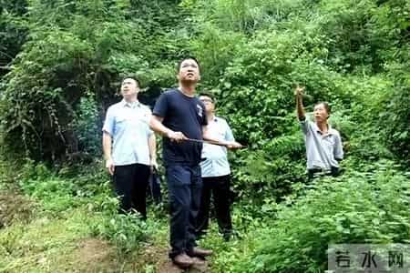 赔不起就种树! 2019年江苏男子河边诱捕2万多只, 判赔600万无力支付