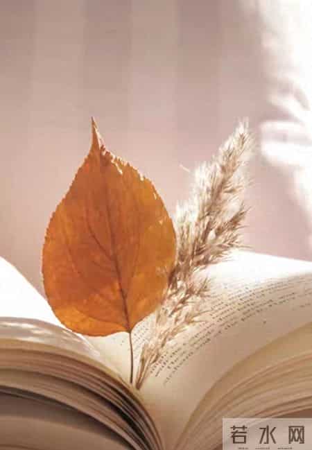 一定要大量读书：读书多了，你能学会任何事