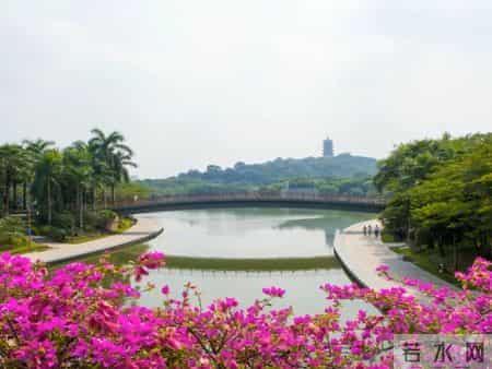 佛山人注意！佛山市中心正在“向东扩容”，这2个地方躺赢！