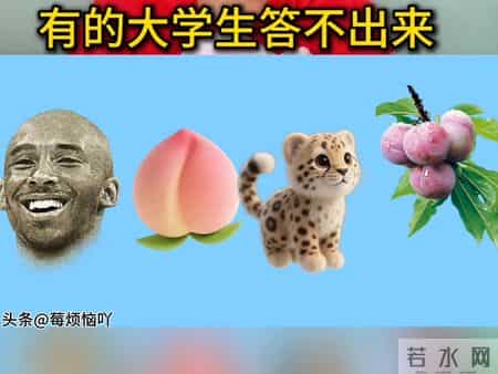 有的大学生答不出来这个猜谜