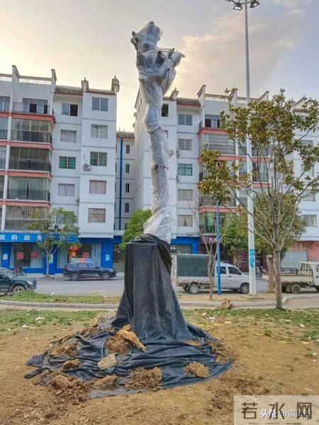 价值5.4万仅卖1.6万！贵州一株108岁瓶兰花，被4人深夜连根挖走