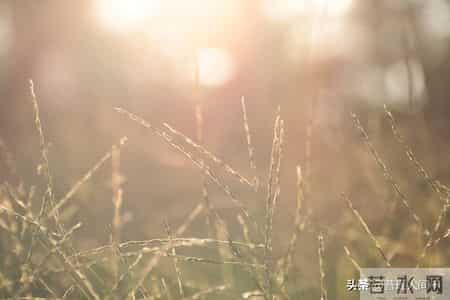 真正厉害的女人，对待男人的态度只有四个字。