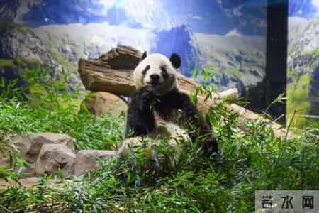 新增54处“电子警察”!深圳交警最新公告