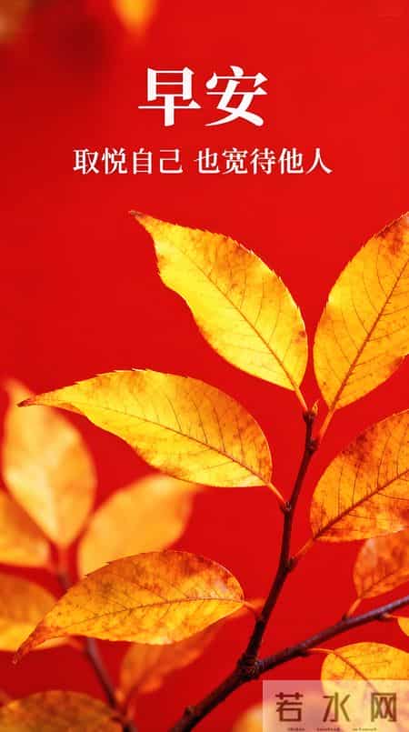 2026年1月27日周二早上好 早上好图片最新今天 温馨淡雅的早安图片