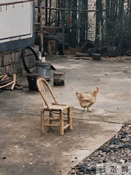 大姐最大（135）