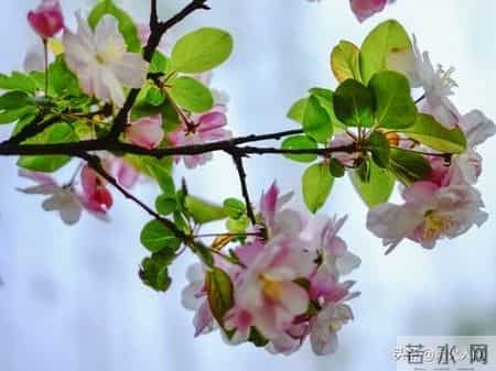 大伯来电要我卖房救他儿子，我回应，二十三年前的断绝书，您忘了