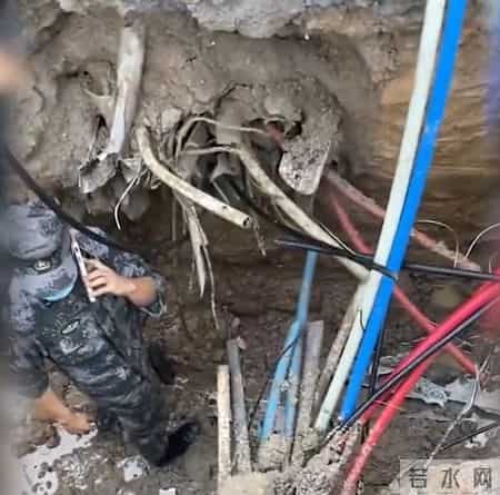 挖断国防光缆，赔偿170万还判刑！这根“线”真的碰不得