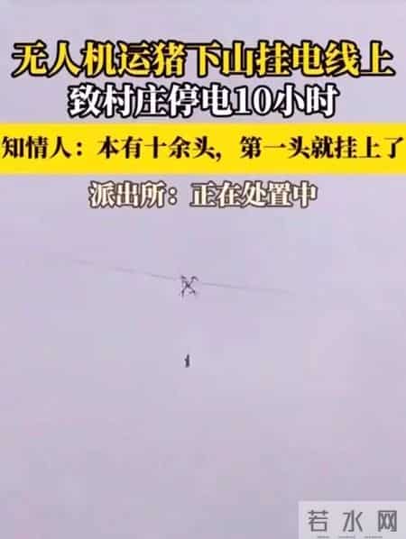 四川巴中一村民用无人机运猪不料挂住高压线,致村庄停电10小时,抢修成本近万元,当地回应