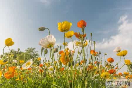 一个人能把十年前的衣服穿出来，而且还挺潮！一个有品位的人！