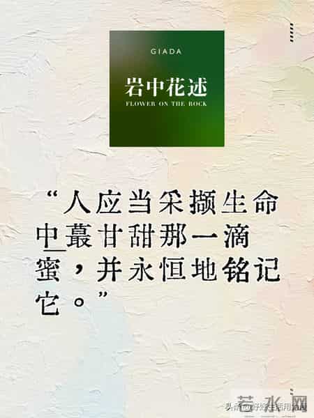 太炸裂了！李银河说：人生到60-70岁才开始沸腾，不必提前焦虑