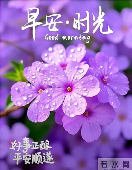 早安 ~ 今日的美好已装满：一缕阳光，一阵花香，满满好运。