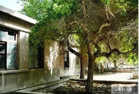 我九十年代在阿拉沟曾当过临时广播员，同事说我口播通知像念悼词