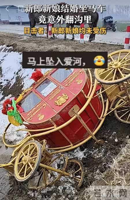 周口一对新郎新娘结婚坐马车发生意外，人和马都翻沟里了，上演现实版“人仰马翻”！目击者：新郎新娘未受伤