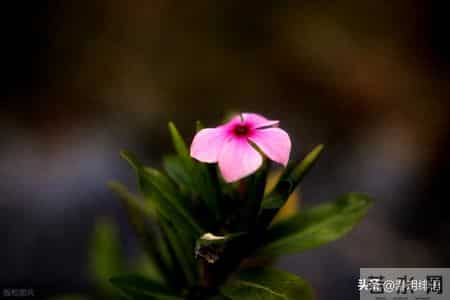 人的本性本质不会改变,如果已经看出一个人的恶,就要远离不再信