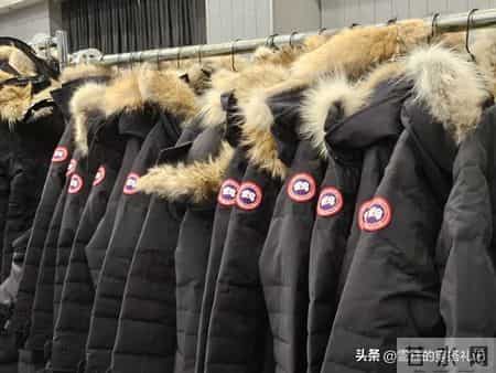 难怪没人穿大鹅、波司登了！满街都是这3个品牌，时髦百搭又平价
