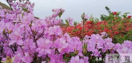 男性只要保持一种姿态，对女性具有极强吸引力