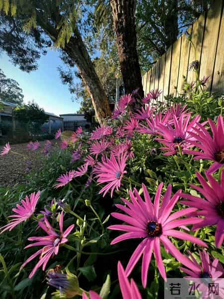 大家发现没,父母是老实本分的人,教出来的孩子骨子里也是实在的。