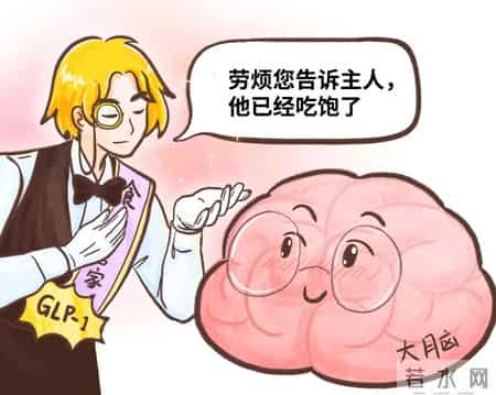 身体里自带的「减肥药」，可惜很多人不会用
