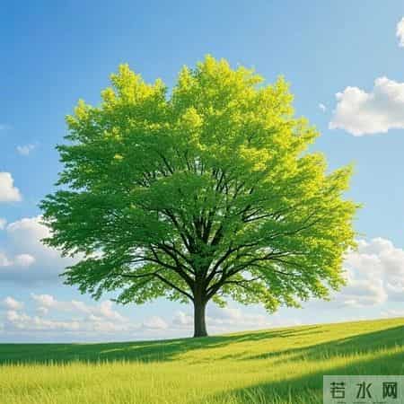 2026旺自己的微信头像｜50张