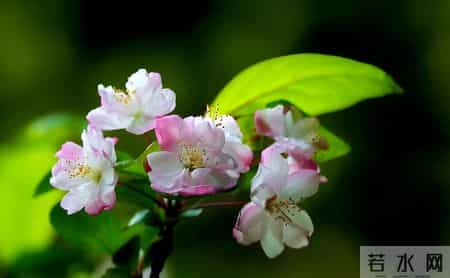 你别不信邪：一个家庭，其实是不赚钱的那个人，在保护赚钱的那个