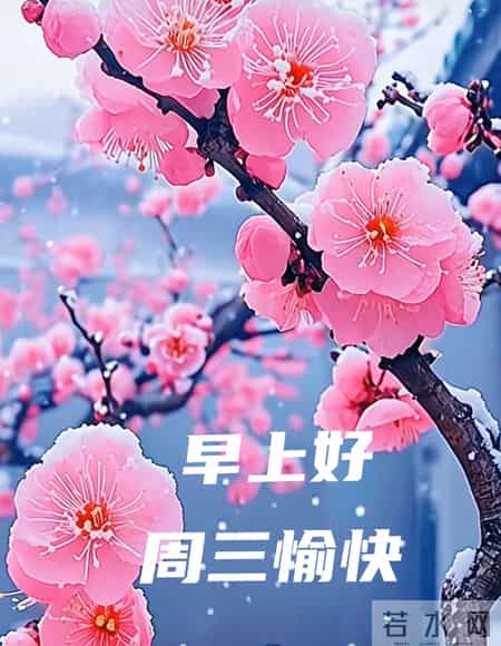 2026年1月28日早上好 早上好温馨问候祝福语 早安精美图片 周三愉快