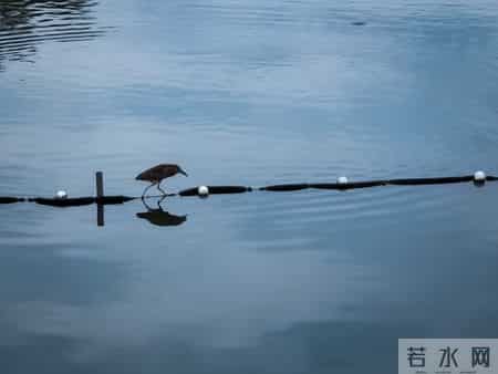 别去怨，别去气，别去恨，怨来恨去，都是在折磨自己的心