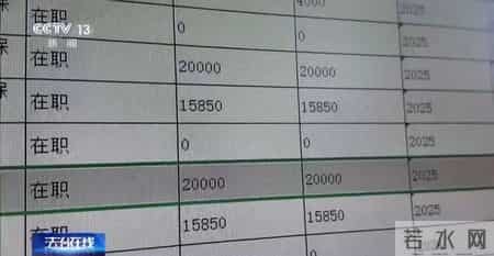 仅有15名员工的企业却有13人集中生育，申领了总计超100万元的生育保险，一起全链条造假骗取生育津贴的大案被揭开