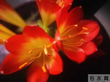 两性关系：多数男人过了六十，最放不下的不是钱，而是这三件事