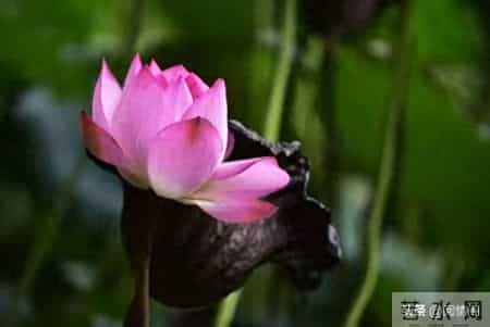 你以为60岁女性都安分？其实过了60岁，女性普遍有着七大隐秘变化