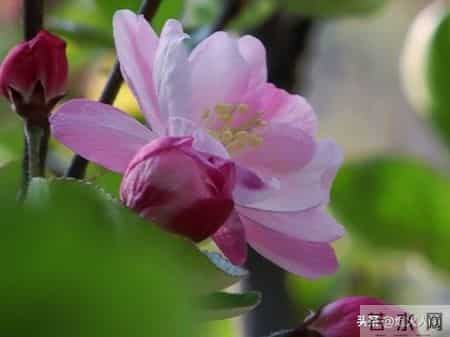 大伯来电要我卖房救他儿子，我回应，二十三年前的断绝书，您忘了