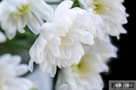 1月7日公布3月30实施，殡葬新规能让白事回归理性吗