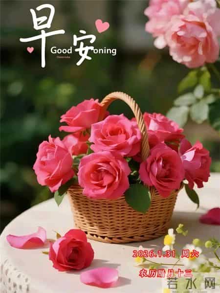 2026年1月31日周六早上好，冬日早安暖心图片，冬日问候祝福语