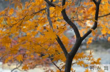 越是深爱过的两个人，断联后越不纠缠，而是默默做这件事