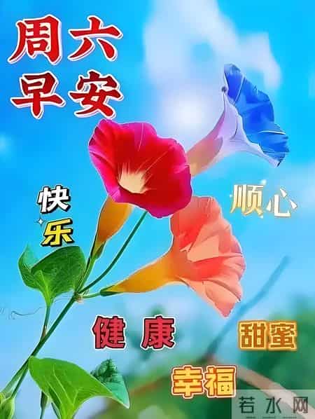 2026.1.31冬日星期六早安，愿你事事顺心，步步生财